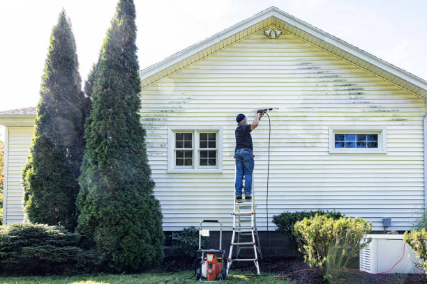 Best Building Exterior Washing  in Seeley, CA